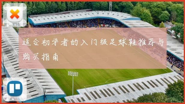 适合初学者的入门级足球鞋推荐与购买指南