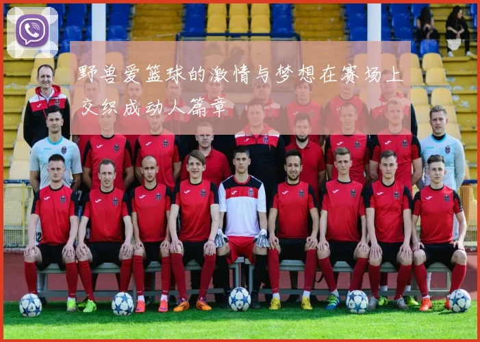 野兽爱篮球的激情与梦想在赛场上交织成动人篇章