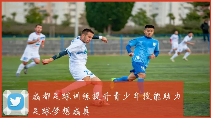 成都足球训练提升青少年技能助力足球梦想成真