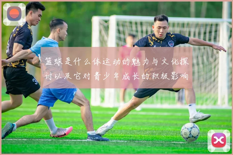 篮球是什么体运动的魅力与文化探讨以及它对青少年成长的积极影响