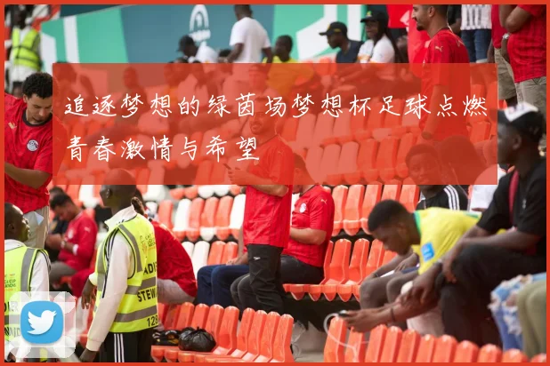 追逐梦想的绿茵场梦想杯足球点燃青春激情与希望