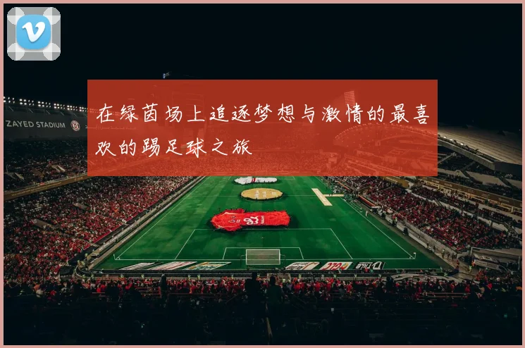 在绿茵场上追逐梦想与激情的最喜欢的踢足球之旅